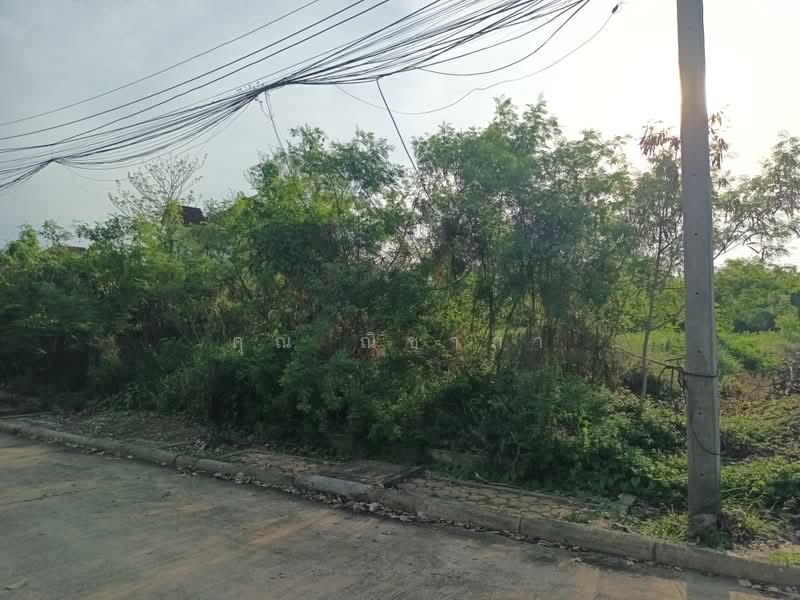 ที่ดินเปล่า หมู่บ้านกฤษดานคร 27 สามพราน เนื้อที่ 100 ตร.ว. ใกล้มหาวิทยาลัยมหิดล ศาลายา, Nakhon Pathom
