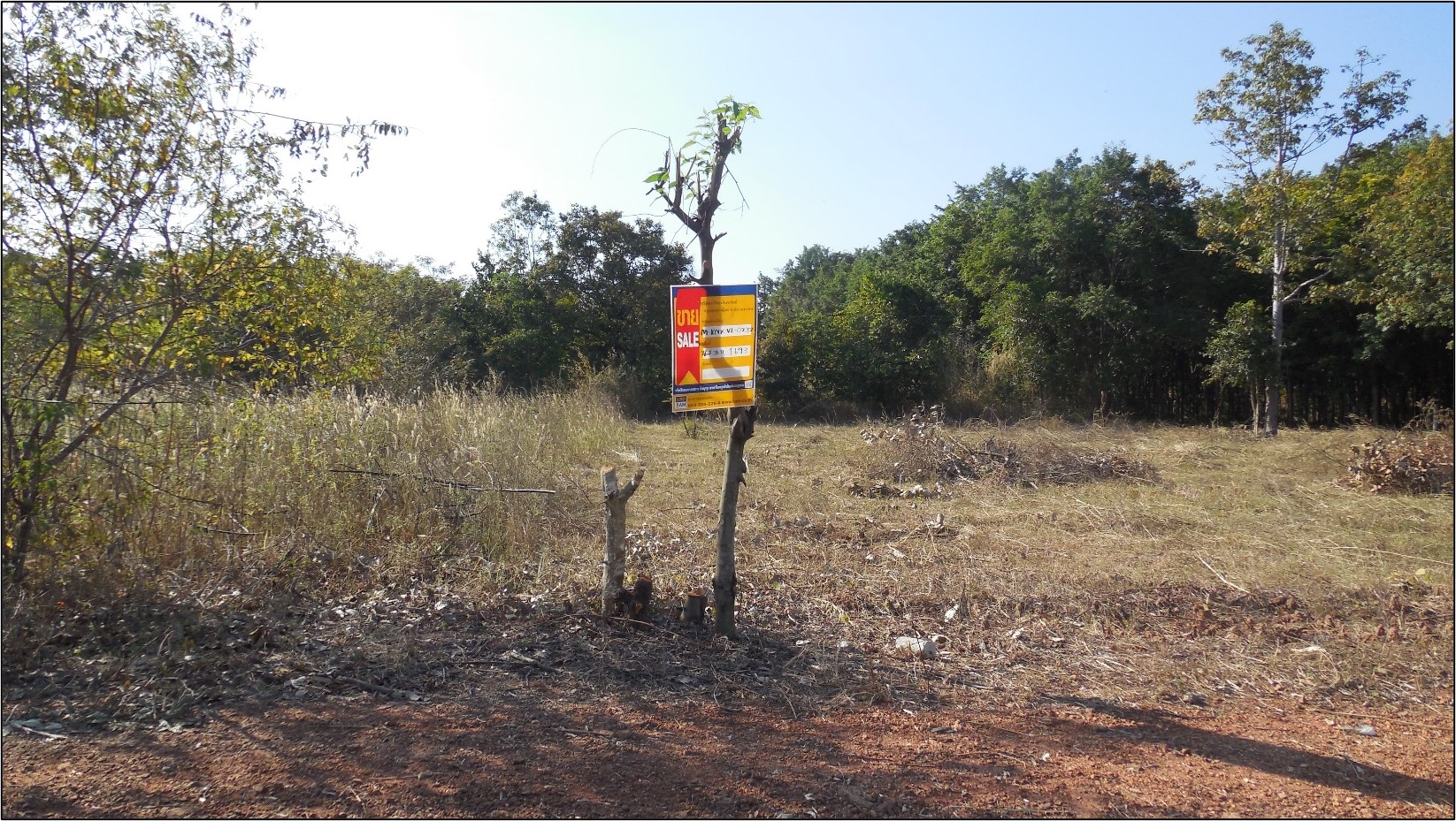 Empty land for sale at Khao Suan Kwang Resort, Khon Kaen Province.