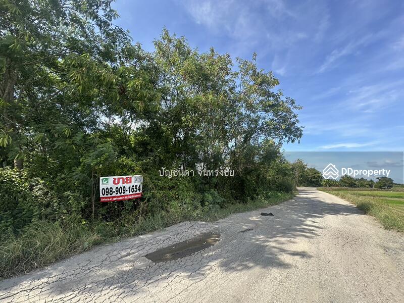 land for sale, Chachoengsao