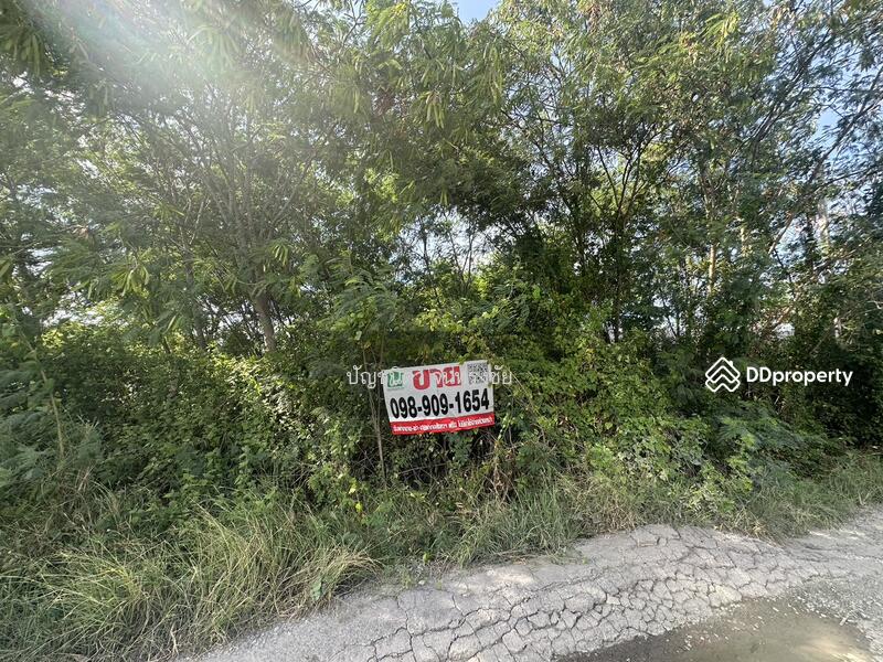 land for sale, Chachoengsao