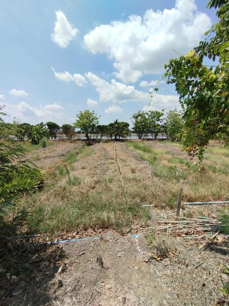 Vacant Land 1 Rai 86 Square Wah in Phai Hu Chang Subdistrict, Bang Lane District, Nakhon Pathom, Nakhon Pathom
