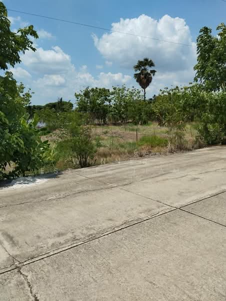 Vacant Land 1 Rai 86 Square Wah in Phai Hu Chang Subdistrict, Bang Lane District, Nakhon Pathom, Nakhon Pathom