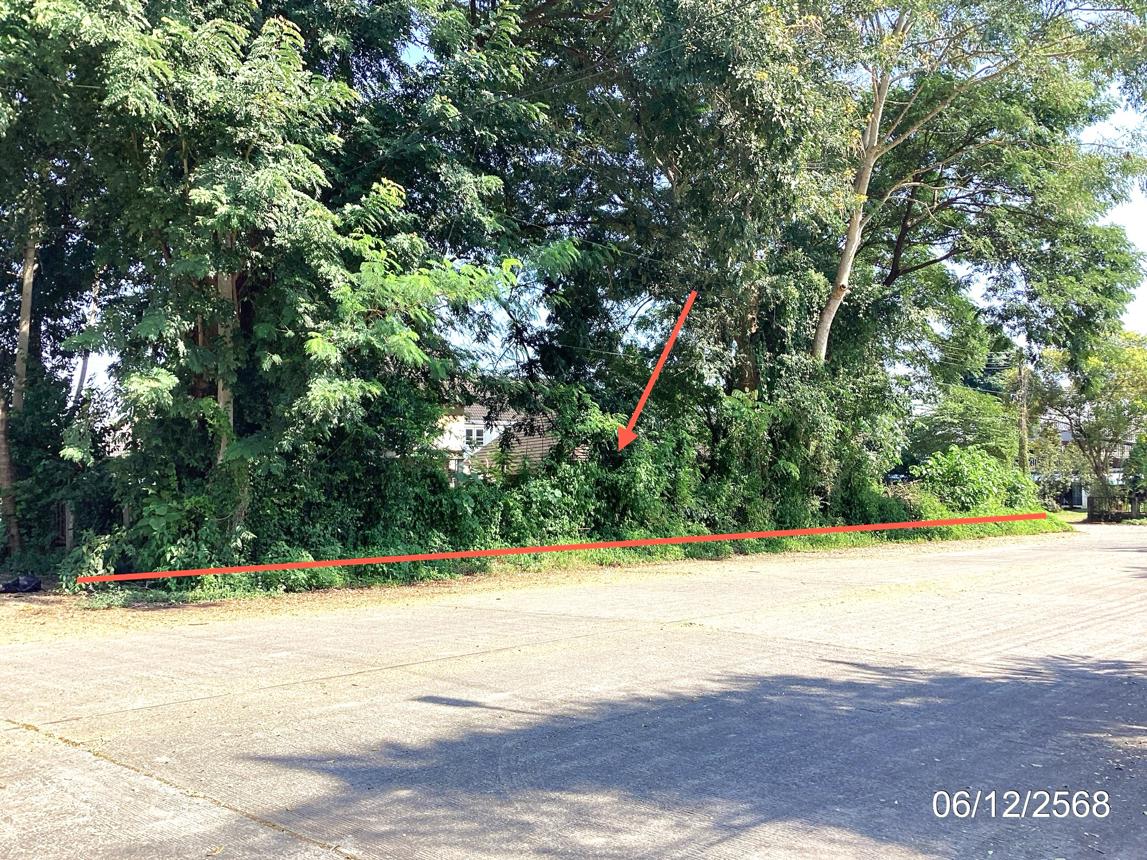Empty Land for Sale in Chiang Rai, Chiang Rai