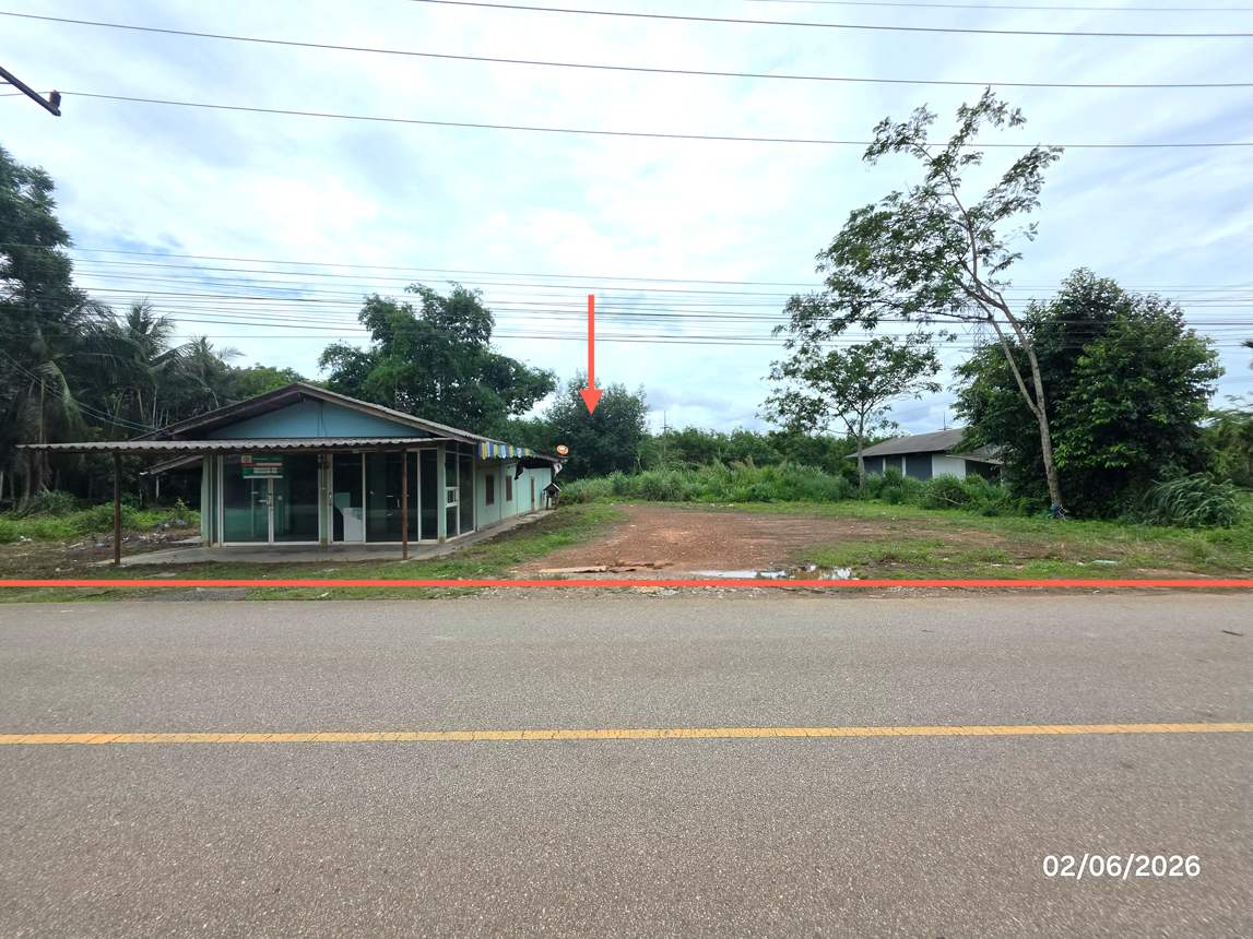 Single House in Punnaphin, Surat Thani