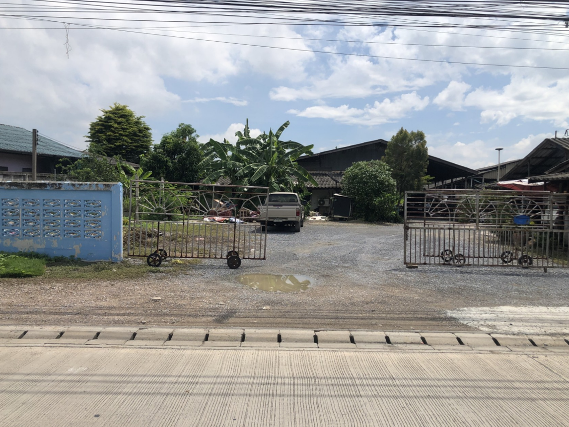 City Farm in Nakhon Chai Si, Nakhon Pathom