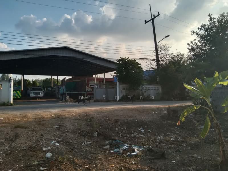 ขายที่ดิน พร้อมสิ่งปลูกสร้าง คลองสาม จังหวัดปทุมธานี, Pathum Thani