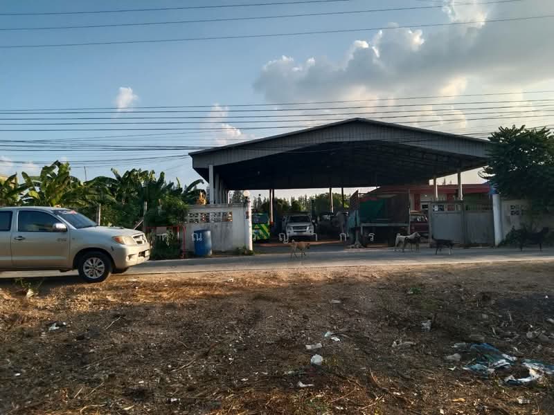 ขายที่ดิน พร้อมสิ่งปลูกสร้าง คลองสาม จังหวัดปทุมธานี, Pathum Thani