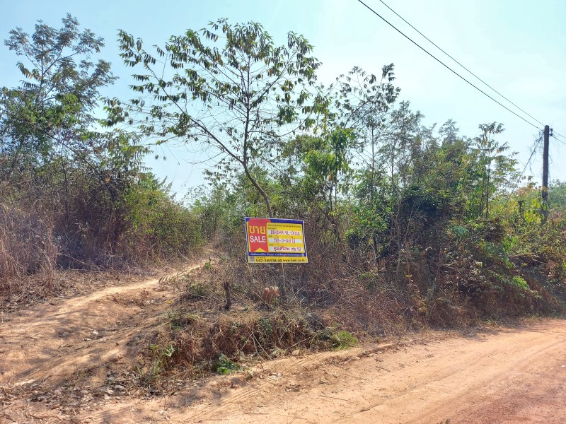 Vacant Land in Bueng Kan