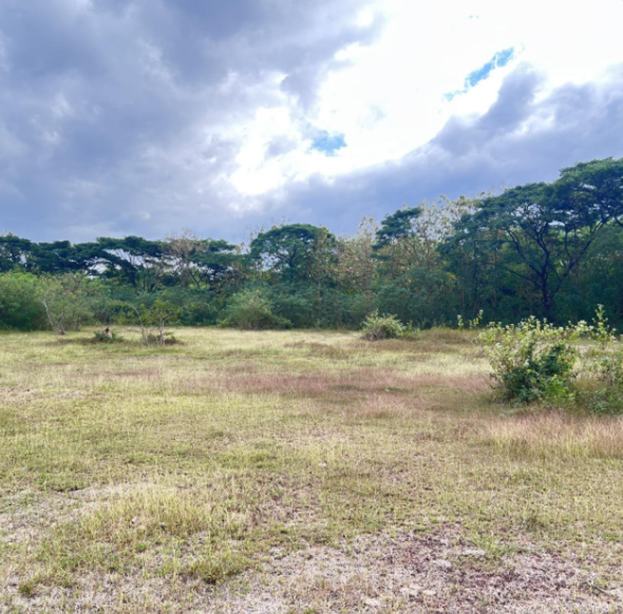 Vacant Land for Sale in Surin City, Surin Province