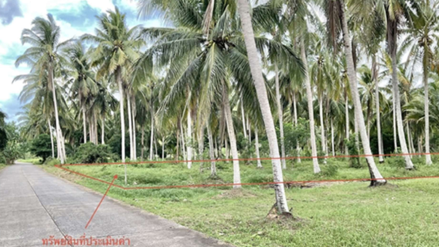ที่ดินว่างเปล่า บางสะพาน ประจวบคีรีขันธ์
