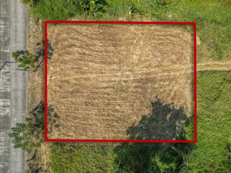 Land for Sale in Green Valley, Mae Rim A Rare Opportunity, Chiang Mai