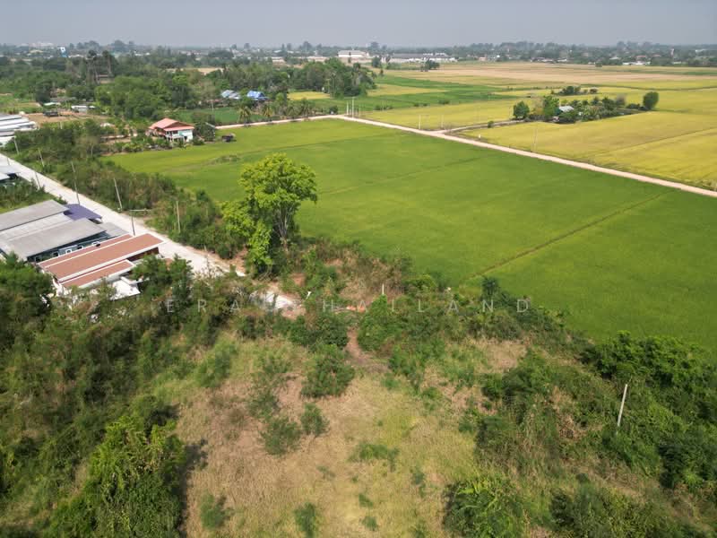 ขายที่ดิน ใกล้แยกวัดสะกัดน้ำมัน วังส้มซ่า 132 ตร.วา, Phitsanulok