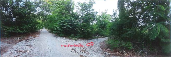 ที่ดินเปล่า โครงการรุ่งสว่างพาร์ควิลล์ หนองเสือ