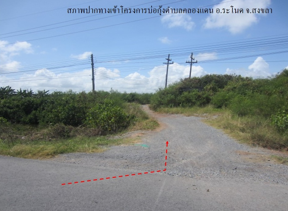 ที่ดินเปล่า โครงการบ่อกุ้ง ต.คลองแดน สงขลา