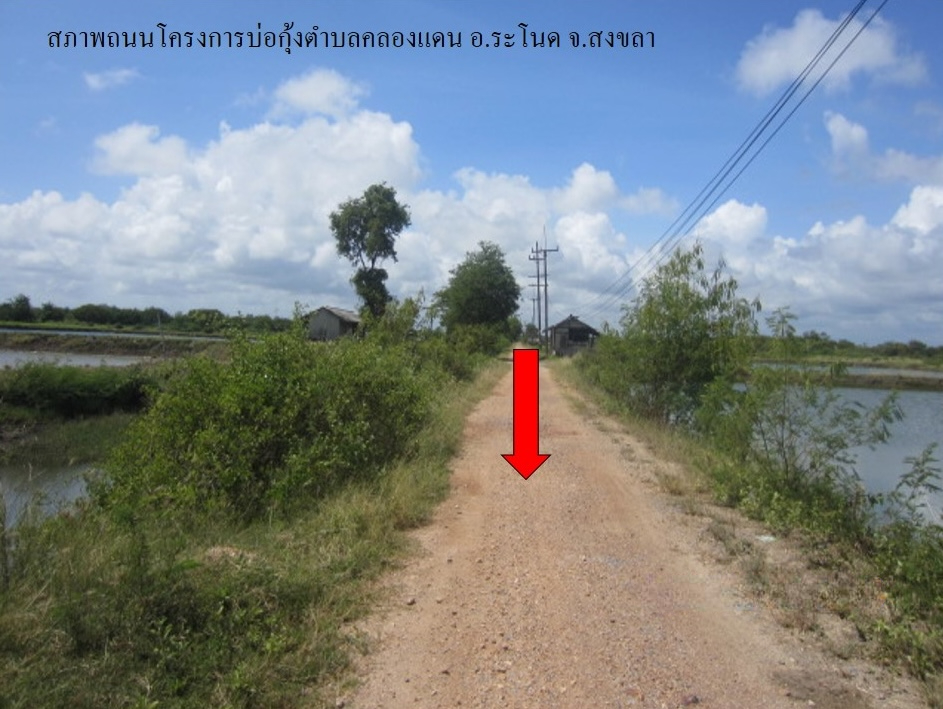ที่ดินเปล่า โครงการบ่อกุ้ง ต.คลองแดน สงขลา