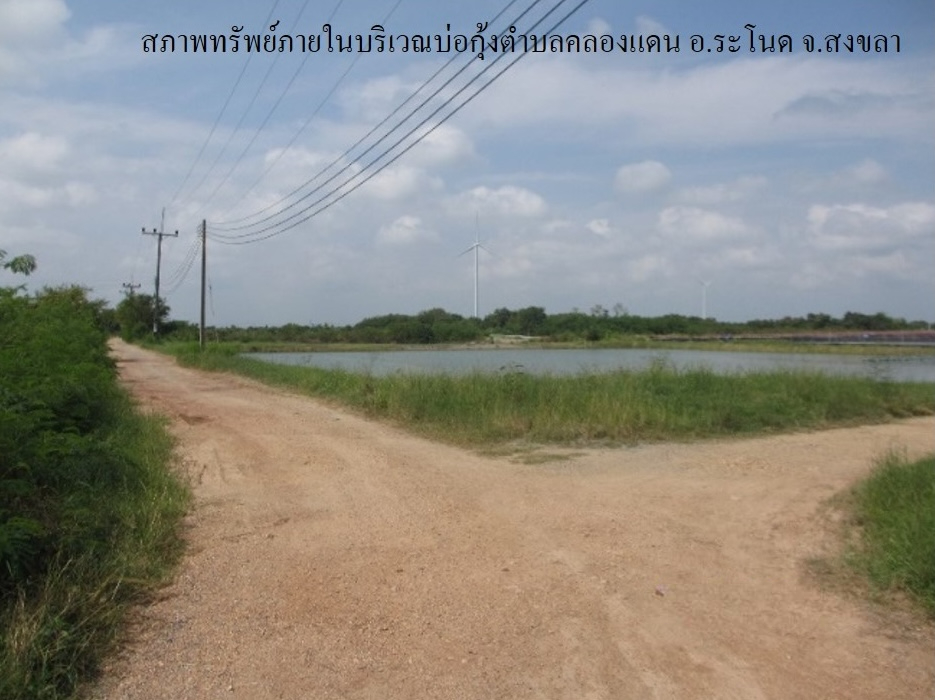 ที่ดินเปล่า โครงการบ่อกุ้ง ต.คลองแดน สงขลา