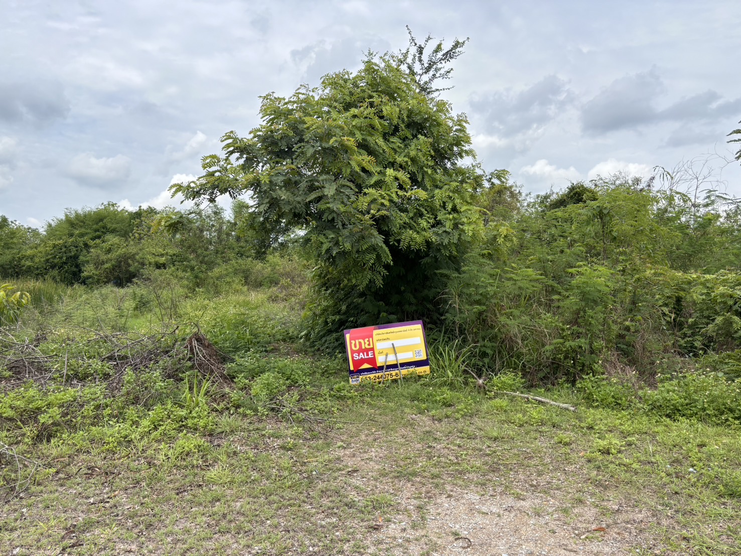 Empty land, Chama Devi Savannakhet Project, Lamphun
