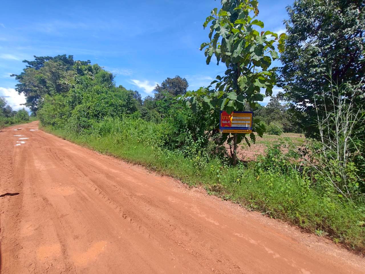 Vacant Land in Lamphao, Kalasin City