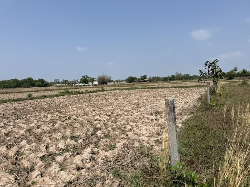 ขายที่ดิน ต.หนองนาคำ อุดรธานี, Udon Thani