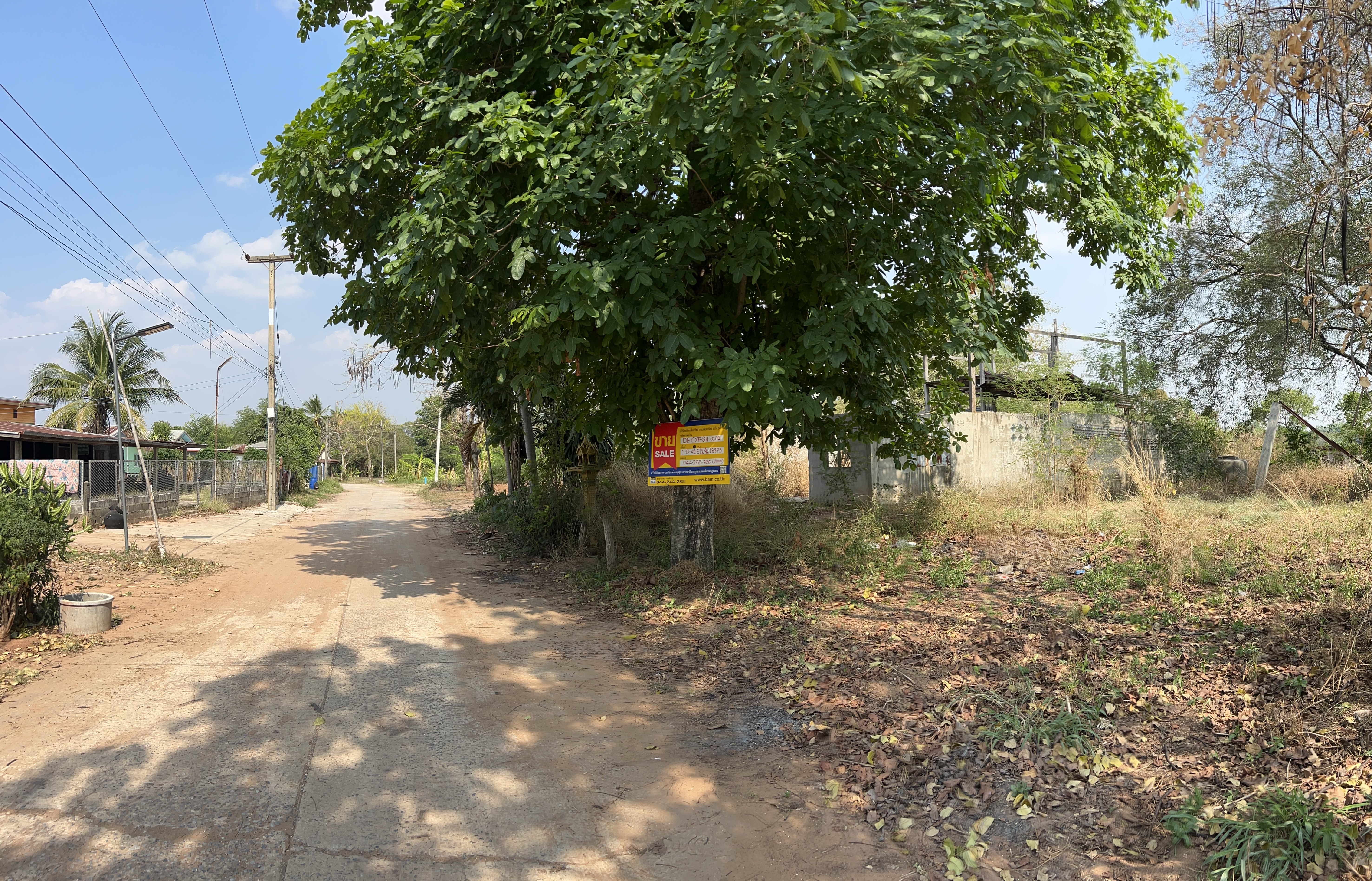 ที่ดินพร้อมสิ่งปลูกสร้าง หนองบัวโคก ชัยภูมิ