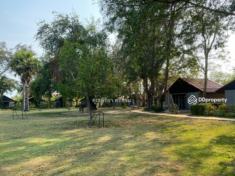 ขายที่ดินเปล่าติดหาดปึกเตียน ติดทะเล เนื้อที่ 30 ไร่ เพชรบุรี, Phetchaburi