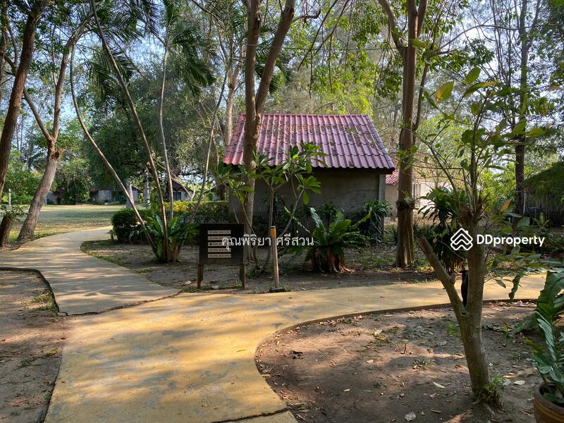ขายที่ดินเปล่าติดหาดปึกเตียน ติดทะเล เนื้อที่ 30 ไร่ เพชรบุรี, Phetchaburi