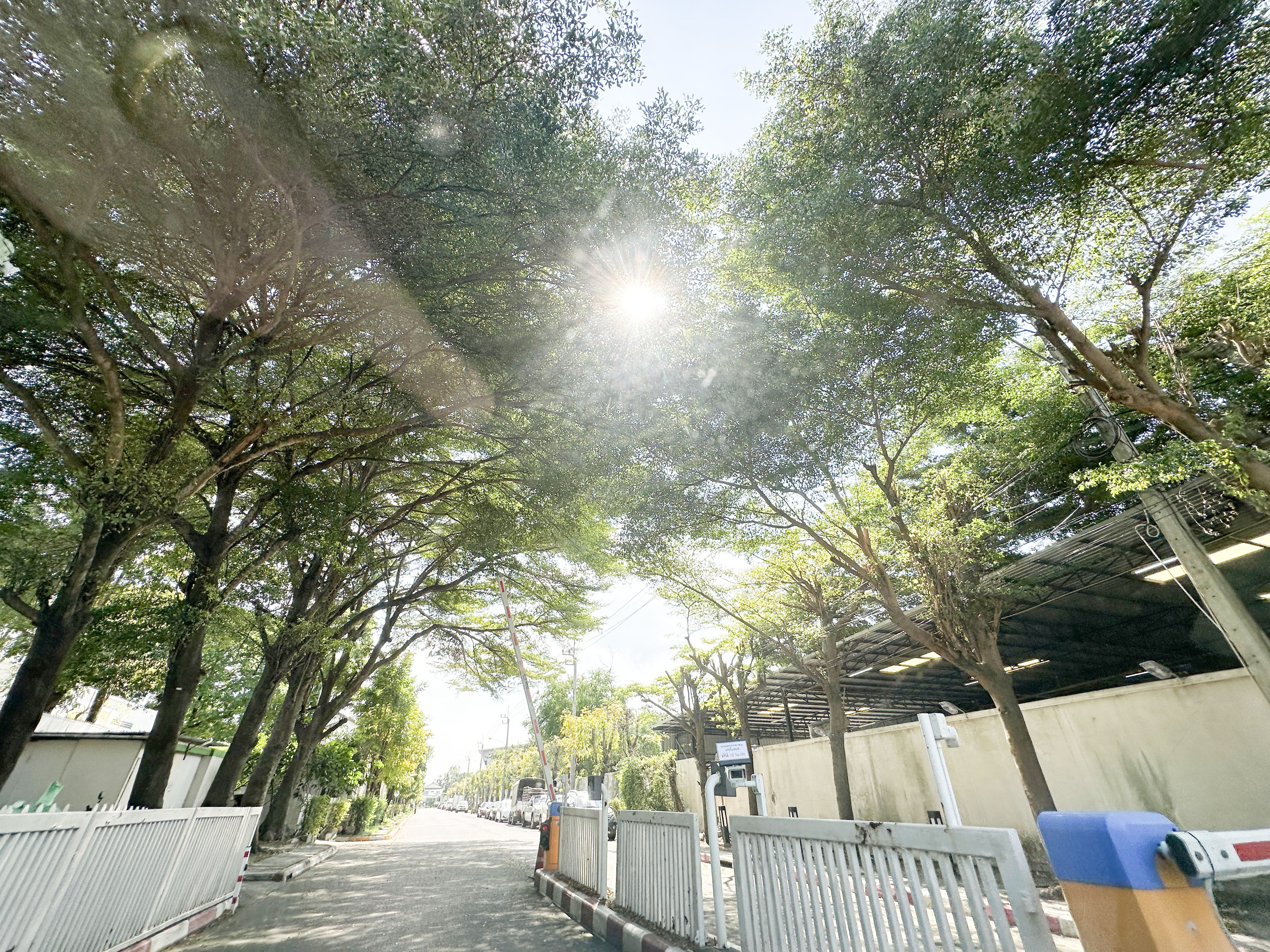 ทาวน์เฮ้าส์ โครงการบ้านใหม่ เทพารักษ์ - วงแหวน