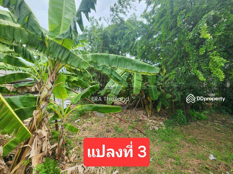 ขายที่ดินเพียง 7 นาทีถึงเซ็นทรัล พระราม 2 จำนวน 1 ไร่ 85 ตารางวา, Bangkok