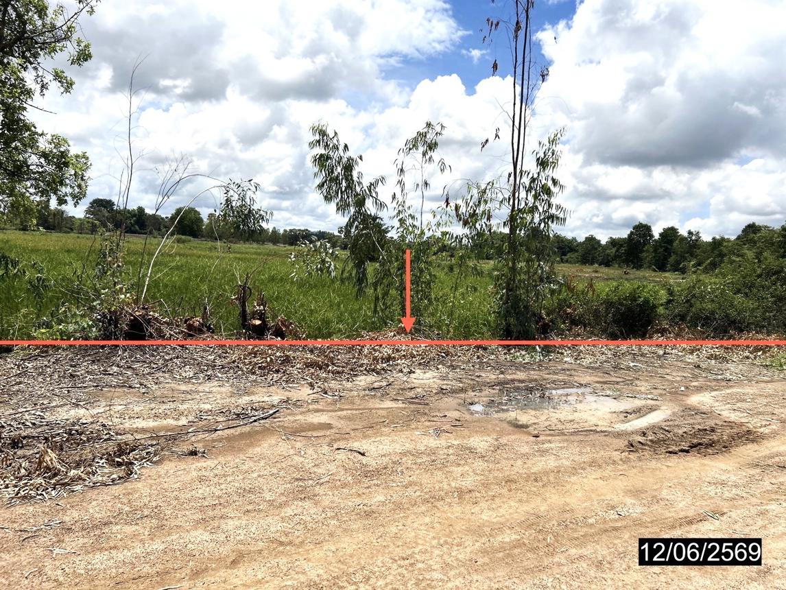 Empty Land for Sale in Kamalasai, Kalasin