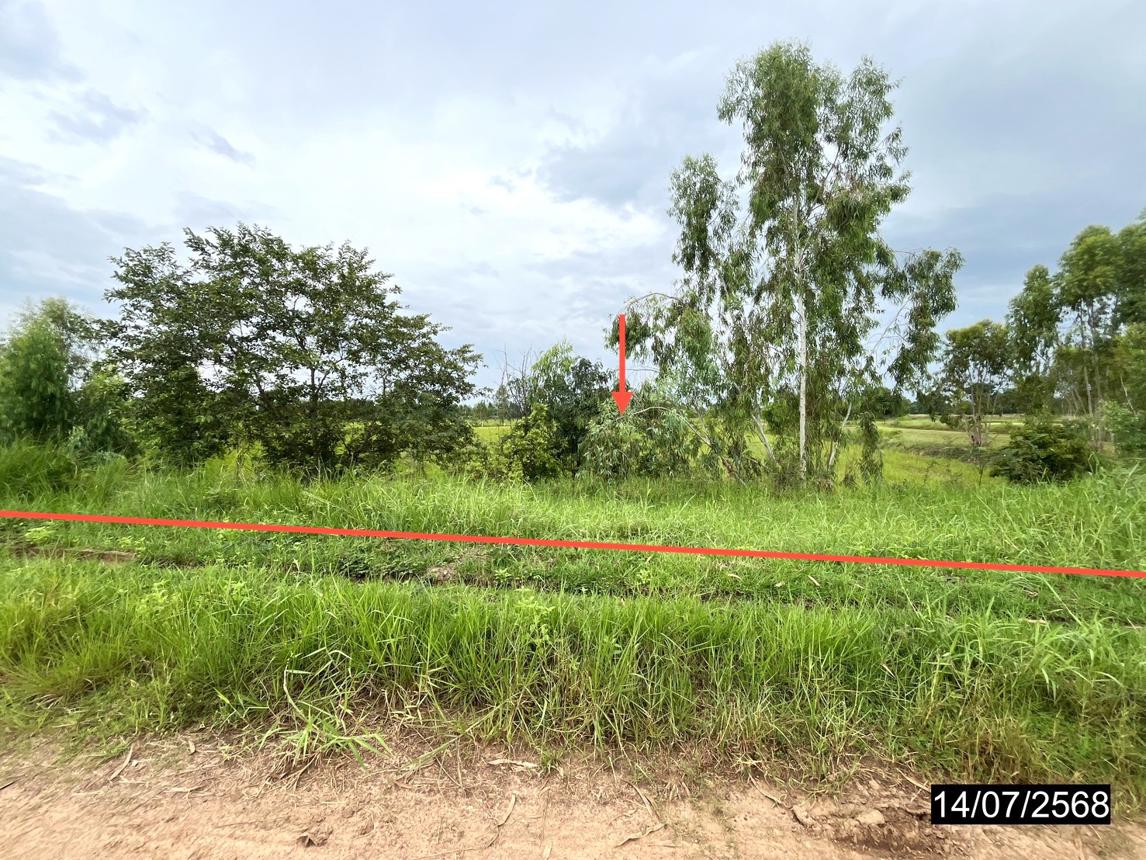 Empty Land for Sale in Kamalasai, Kalasin