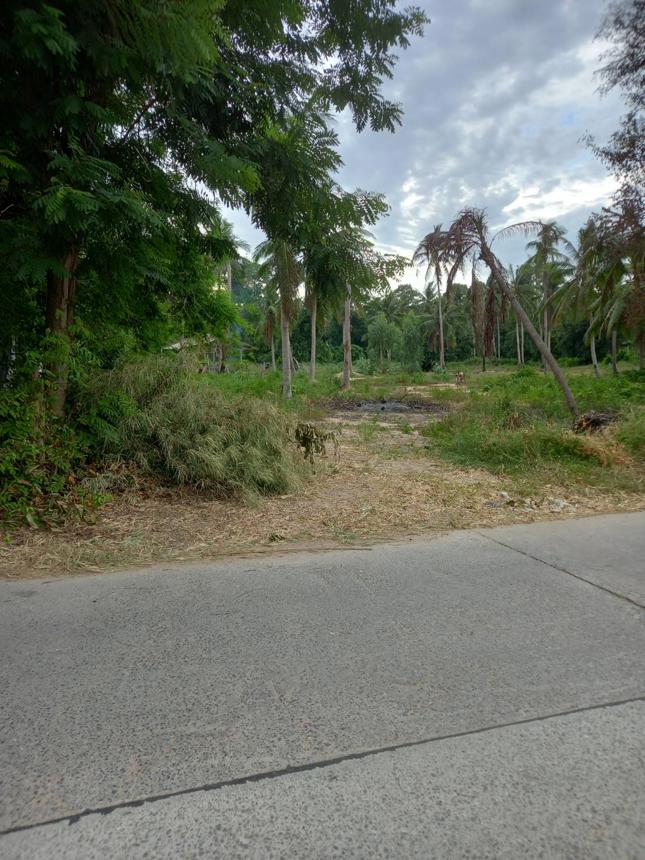 Vacant Land in Bang Lamung, Chonburi