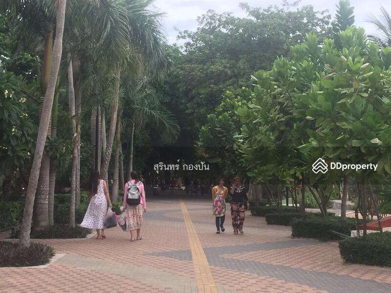 Krathing Lai Beachfront Land, Chon Buri (Pattaya)