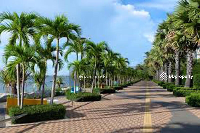 Krathing Lai Beachfront Land, Chon Buri (Pattaya)