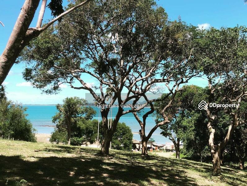 ที่ดินริมทะเลสวย, Prachuap Khiri Khan
