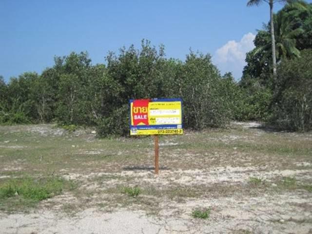 Empty Land in Narathiwat Province