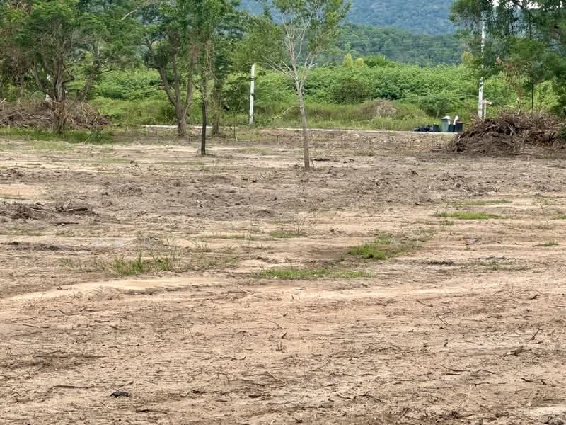 Land 12 rai (4.9 acre) facing Phetkasem Road (Highway 4) 10 km to Hua Hin city, Phetchaburi