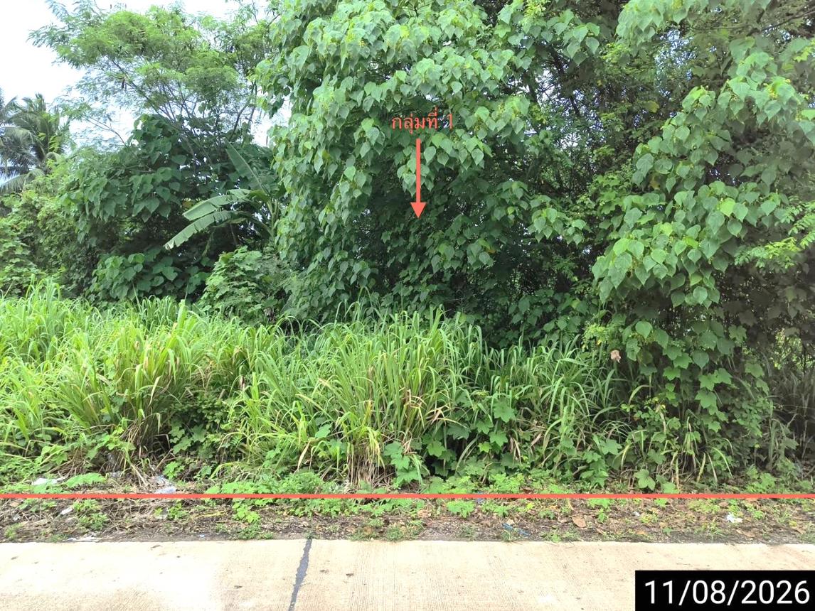 Empty Land in Chumphon Province, Chumphon