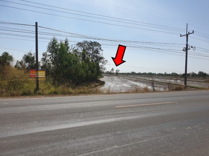 Empty Land in Kalasin Province