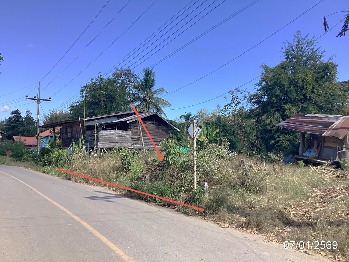 Empty Land for Sale in Chiang Muan, Phayao