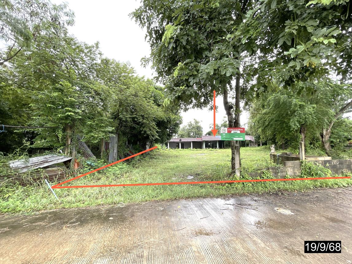 Single House in Yang Talat, Kalasin