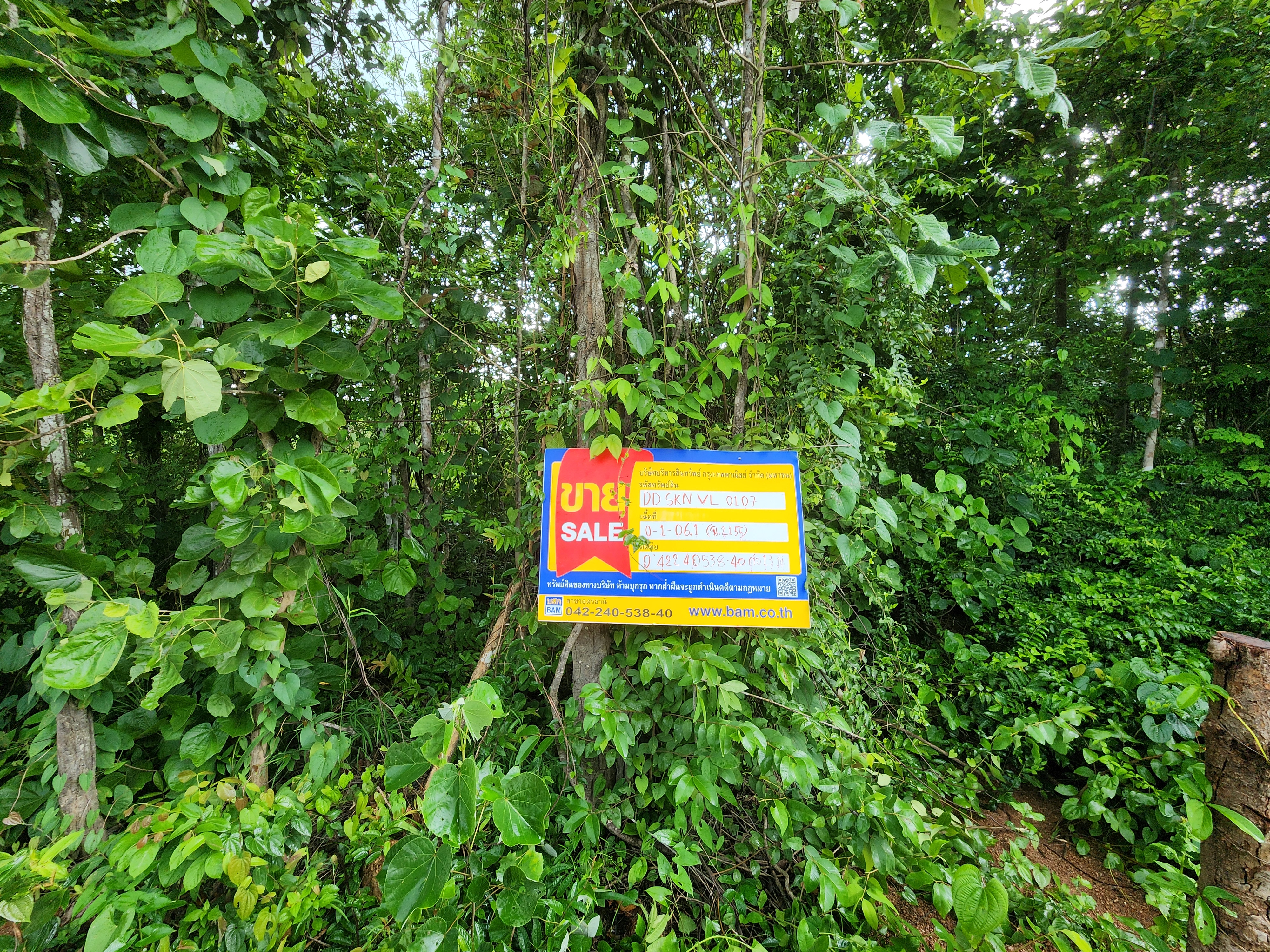 Vacant Land in Vanar Nivas Sakon Nakhon