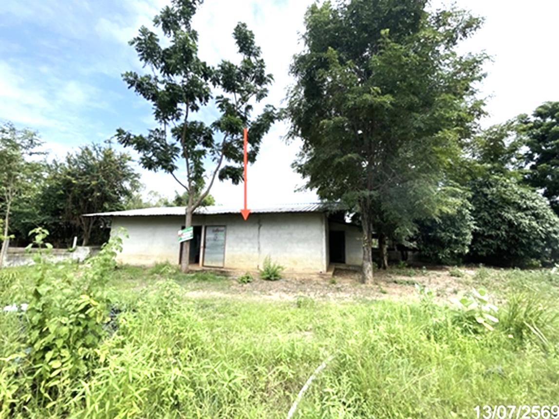 Farm in Sawankhalok, Phitsanulok