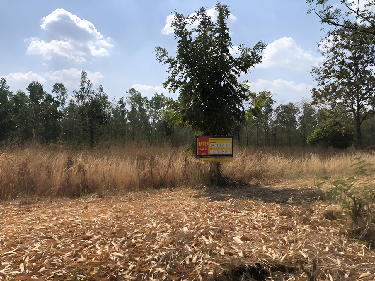 Empty land plot in Karaket Project, Phetchabun Province.