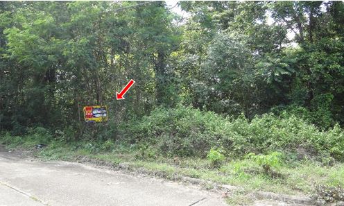 Empty land, Lanna Nakorn Country Park project, Lamphun