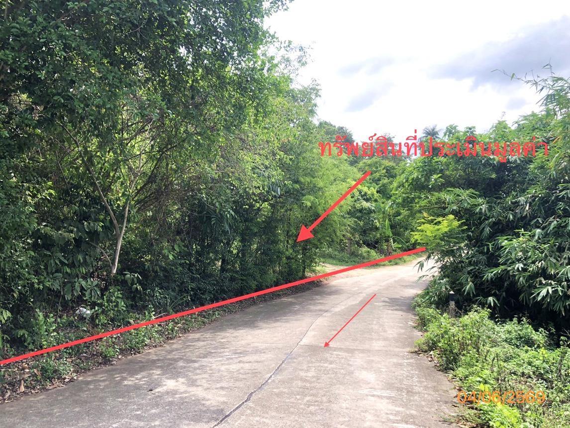 ที่ดินว่างเปล่า เกาะสมุย สุราษฎร์ธานี