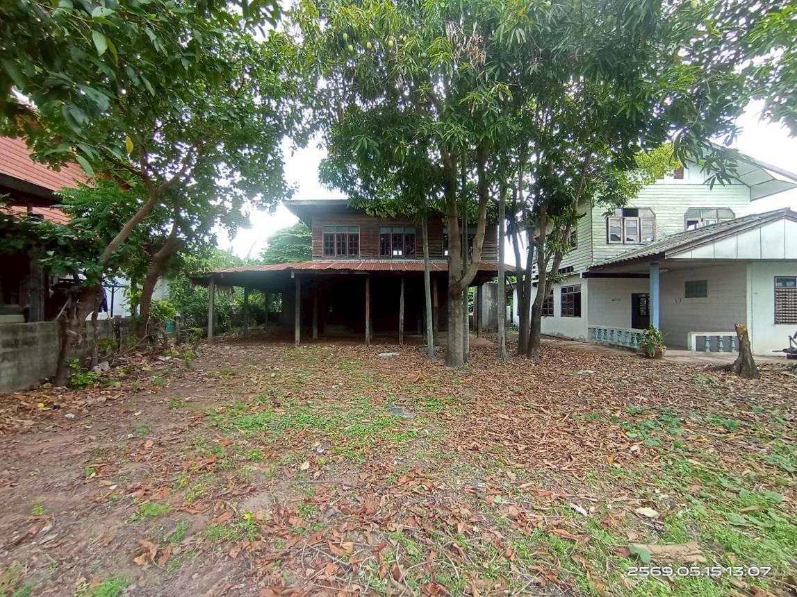 Single House in Yang Talat, Kalasin