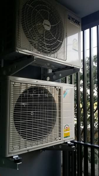 Premio Fresco, Bangkok