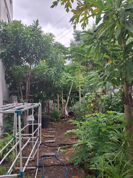undefined, Bangkok