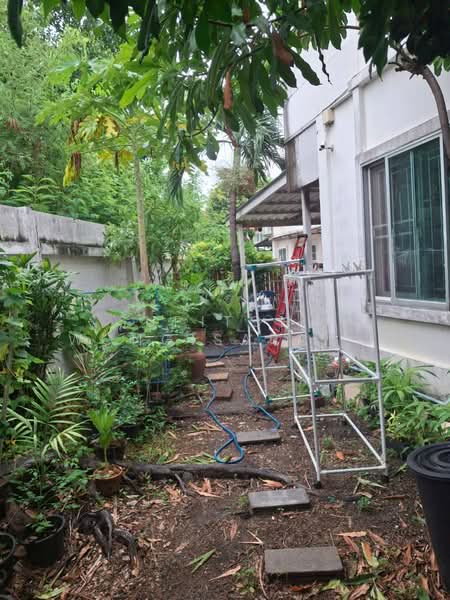 undefined, Bangkok