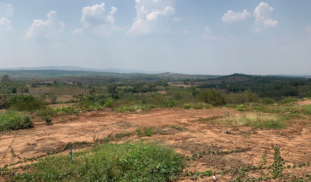 Empty land, Wangthong Royal Estate project, Phitsanulok